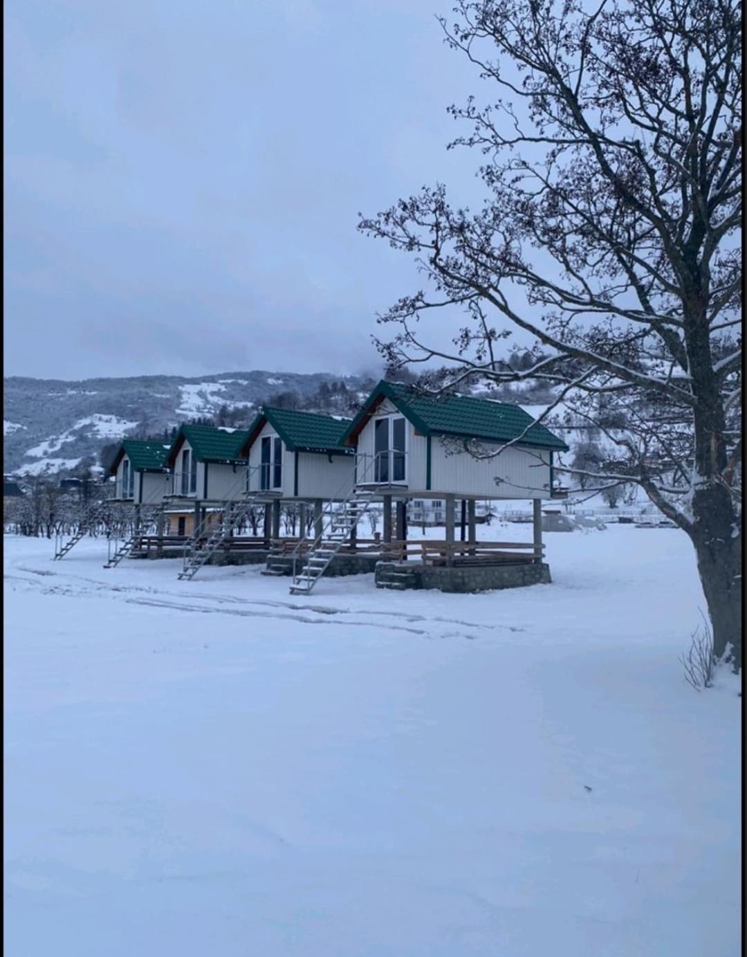 Begov Kamp, Plav Villa Dış mekan fotoğraf